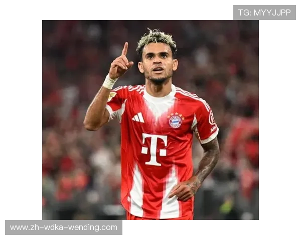 德甲各队球员名单2025版：主力、新星与转会信息